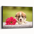 Framed canvas wall art featuring a charming corgi design in vibrant colors, presented from a black side view, perfect for dog lovers and home decor enthusiasts.