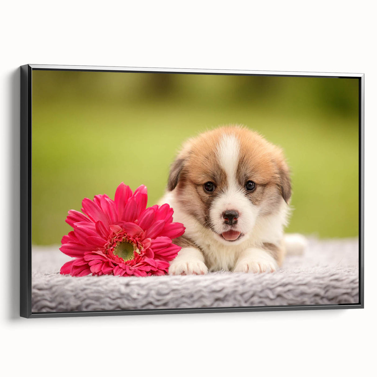 Framed canvas wall art featuring a charming corgi design in vibrant colors, presented from a black side view, perfect for dog lovers and home decor enthusiasts.