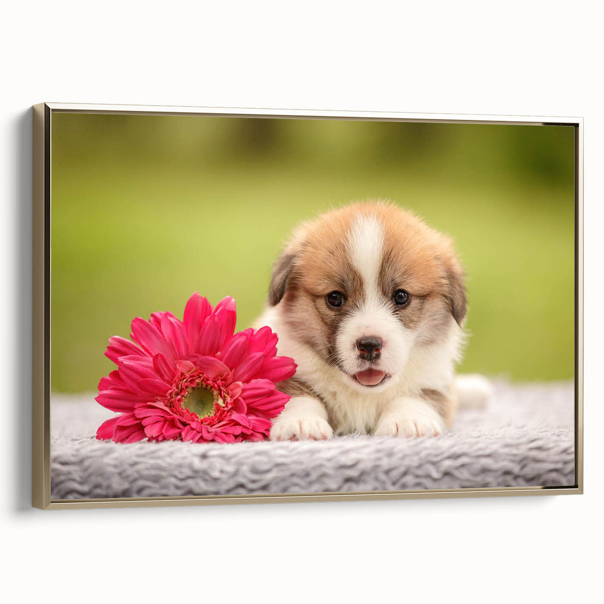 Framed canvas wall art featuring a playful Corgi design in a gold frame, showcasing the dog's expressive eyes and fluffy coat, perfect for pet lovers' home decor.
