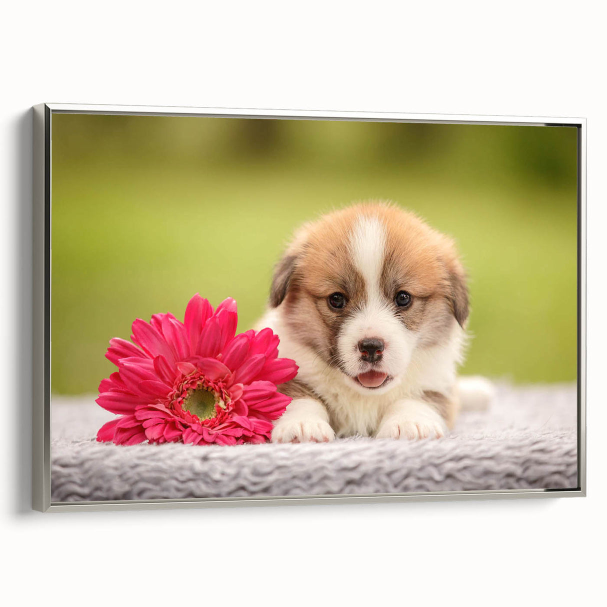 Framed canvas wall art showcasing a playful Corgi design, featuring vibrant colors and a silver frame, ideal for dog lovers' home decor.