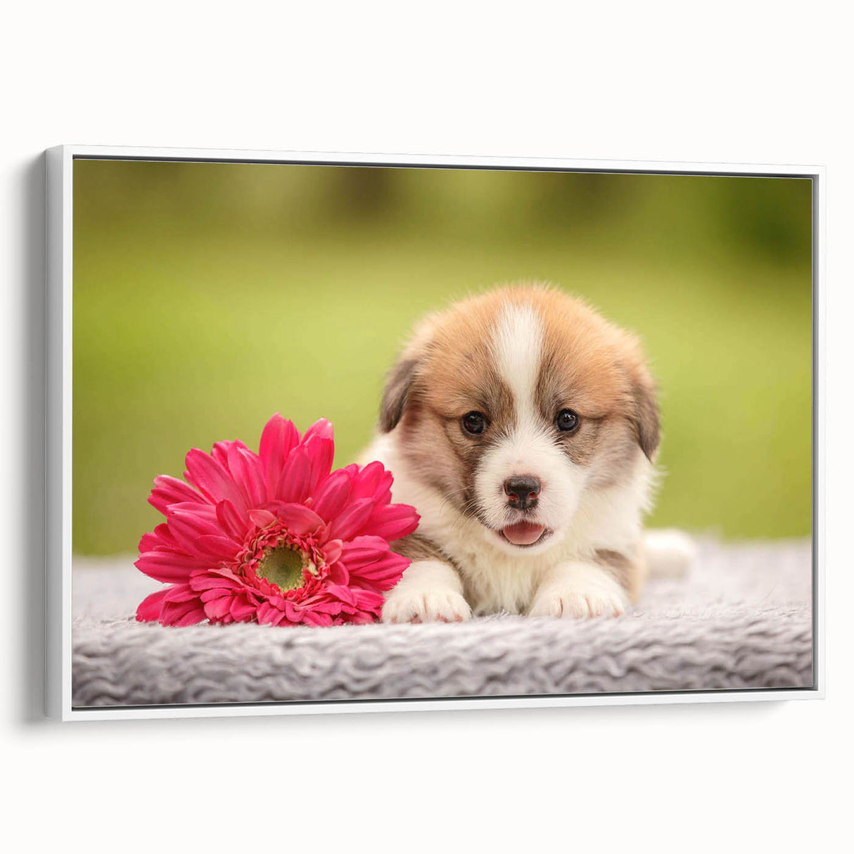 Framed wall art featuring a playful corgi design in vibrant colors, showcasing the dog from a side view against a white background, perfect for pet lovers' decor.