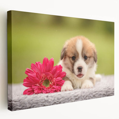 Corgi wall art design on stretched canvas, showcasing a playful side view of a happy corgi with vibrant colors, perfect for dog lovers and home decor.