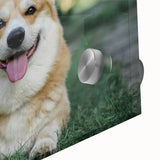 Close-up of a vibrant corgi-themed wall art piece, showcasing colorful acrylic glass design with playful geometric patterns, ideal for dog lovers’ decor.