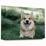Corgi-themed wall art collection showcased in acrylic glass, featuring vibrant colors and playful design, perfect for dog lovers' home decor.