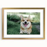 Corgi-themed wall art framed in gold, showcasing vibrant colors and playful designs, perfect for dog lovers and home decor. Ideal for adding charm to any room.