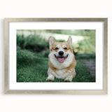 Corgi-themed wall art collection featuring a silver frame and mat, showcasing playful corgi illustrations in vibrant colors, ideal for pet lovers' home decor.