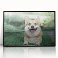 Framed acrylic wall art featuring a playful corgi design with vibrant colors, showcased in a sleek black frame, ideal for pet lovers' home decor.