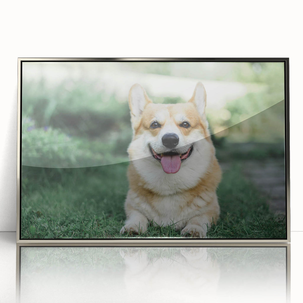 Framed wall art featuring a playful Corgi design with vibrant colors, showcasing a silver-acrylic frame, perfect for dog lovers and home decor enthusiasts.