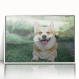 Framed acrylic wall art featuring a playful corgi design in a bright and colorful style, perfect for dog lovers. Showcases a white frame and vibrant details.