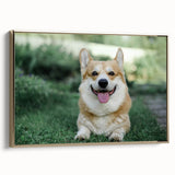 Framed wall art featuring a Corgi design with vibrant colors and gold accents, showcasing a side view of the playful dog, perfect for pet lovers' decor.