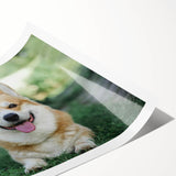 Corgi wall art design featuring a playful illustration of a corgi surrounded by colorful patterns. This rolled print adds a whimsical touch to home decor.