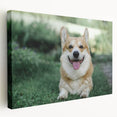 Stretched canvas wall art showcasing an adorable corgi design in a playful pose, perfect for dog lovers. The vibrant colors and detailed illustration add charm to any space.