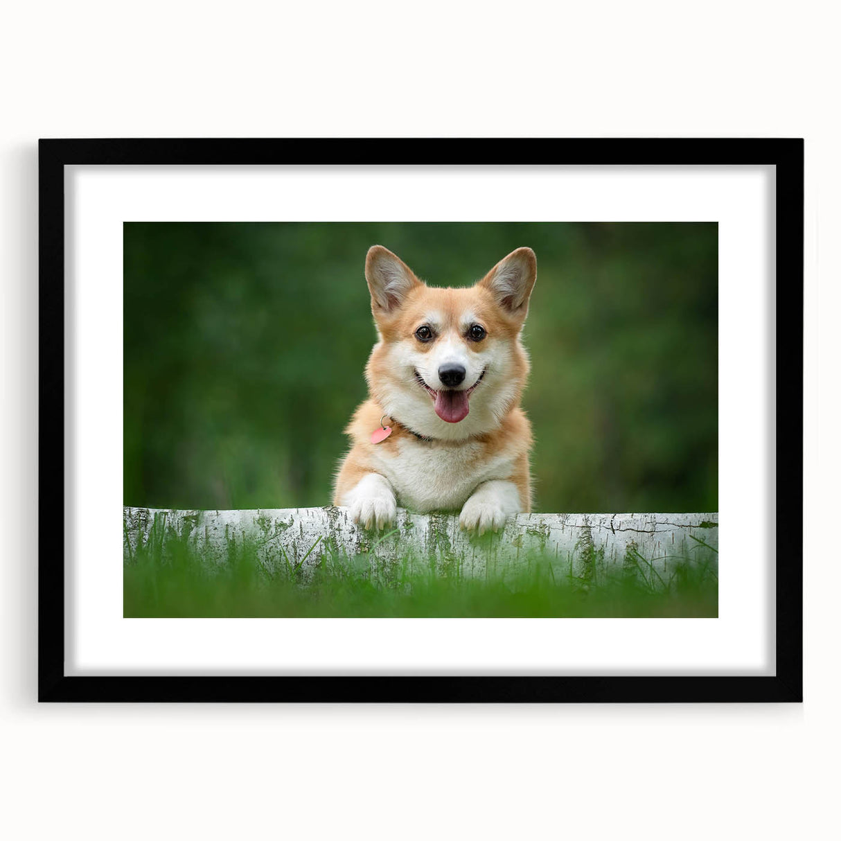 Corgi wall art collection framed with a black mat, featuring playful corgi designs in vibrant colors, ideal for dog lovers and home decor enthusiasts.