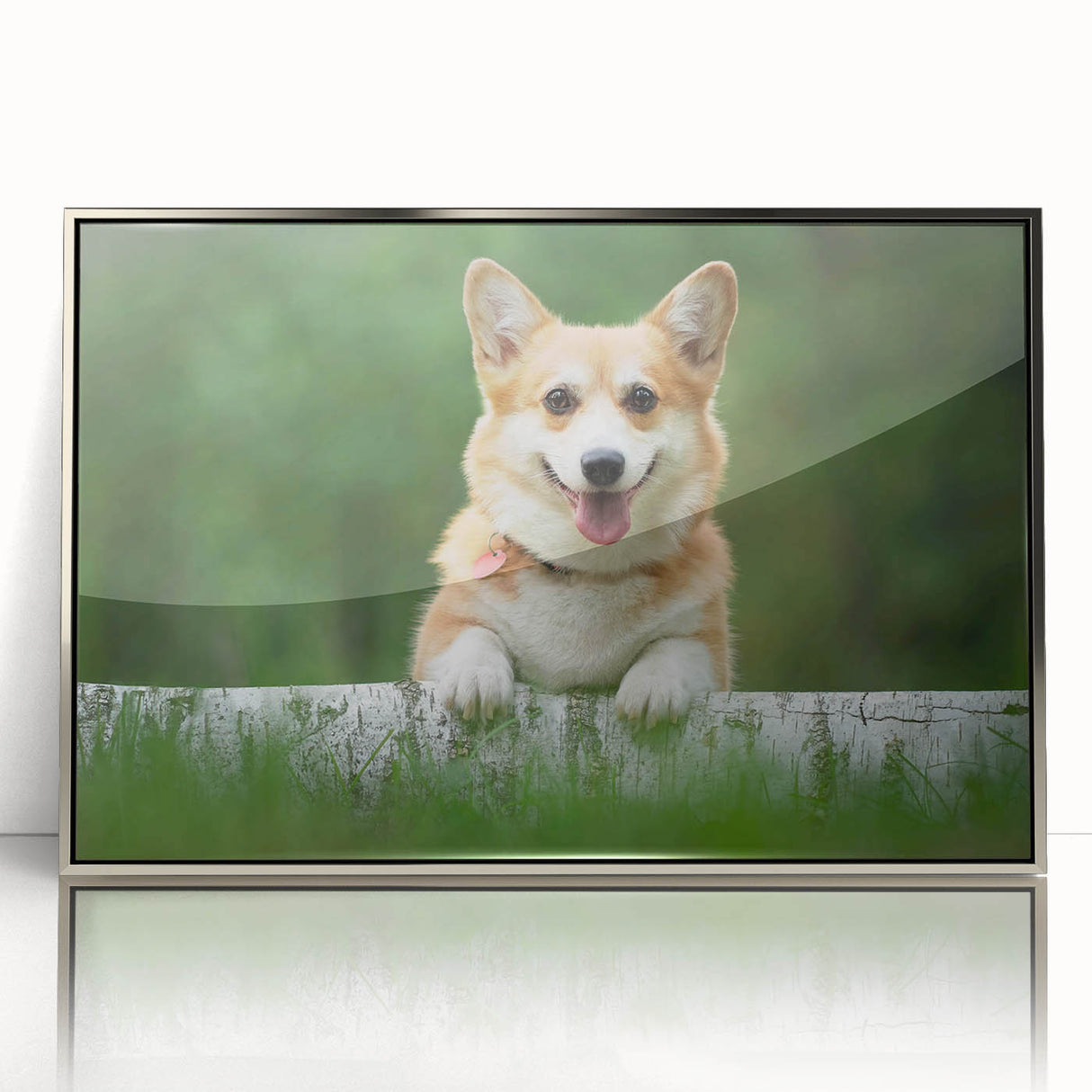 Framed wall art collection showcasing a charming Corgi design in a silver-acrylic frame, perfect for dog lovers’ home decor, highlighting vibrant colors and playful details.