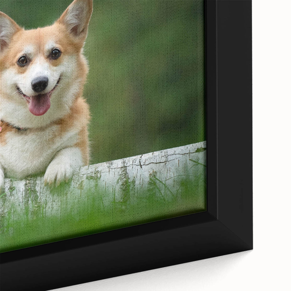 Close-up of a framed canvas wall art piece showcasing an adorable corgi design, featuring vibrant colors and playful details, perfect for dog lovers’ home decor.