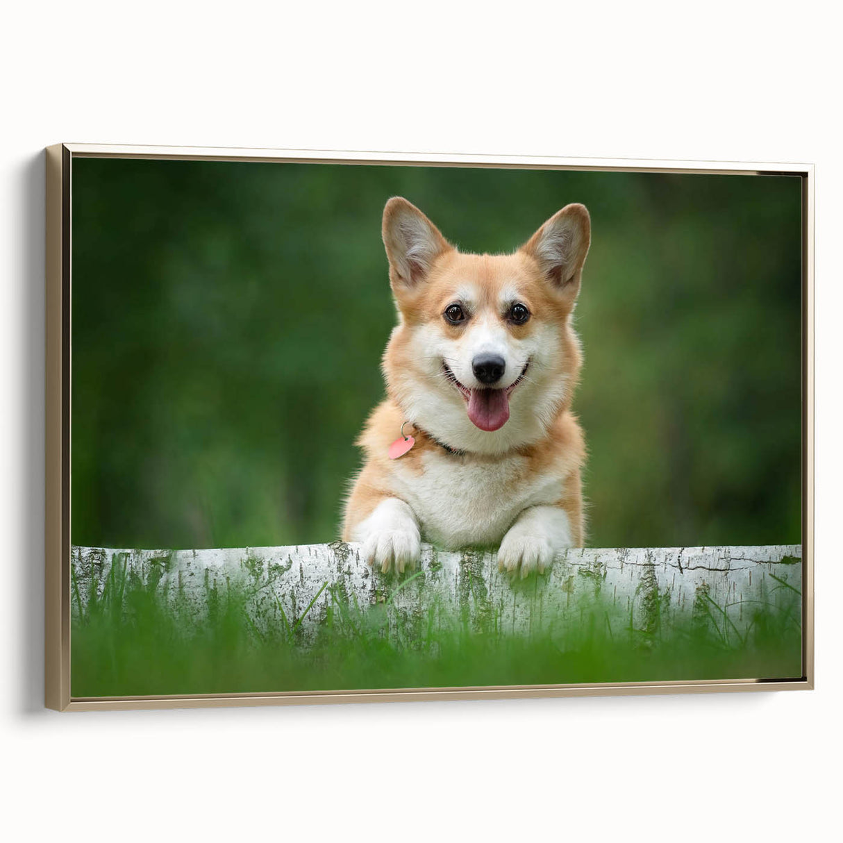 Framed wall art collection showcasing a whimsical Corgi design in vibrant colors, presented in a gold frame, ideal for dog lovers and home decor enthusiasts.
