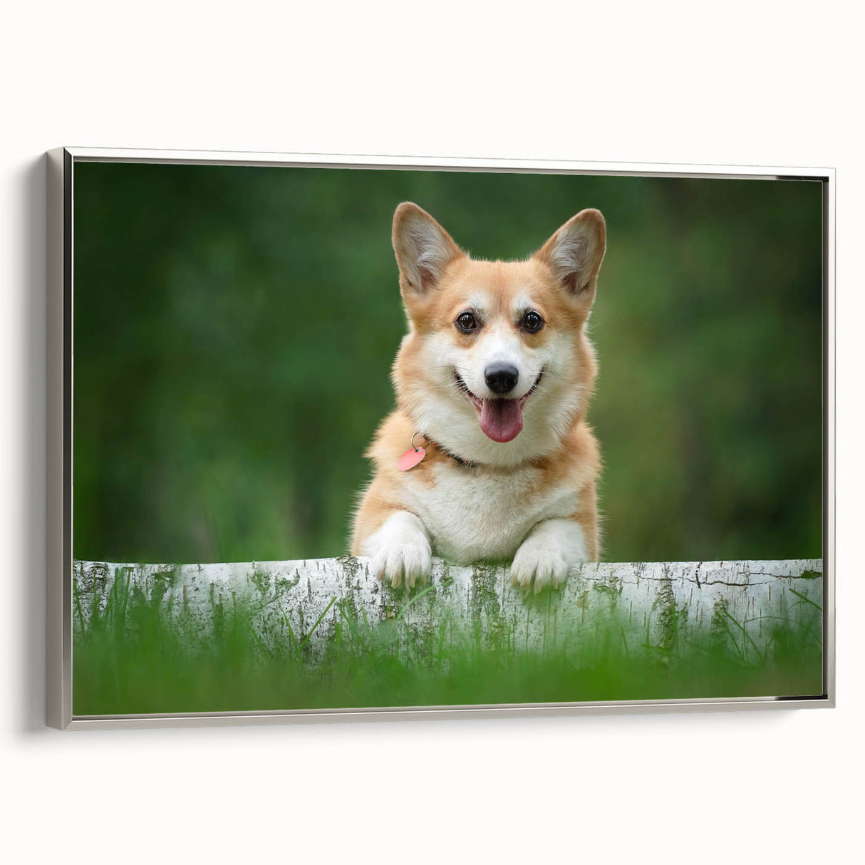 Framed wall art featuring a stylish corgi design in a silver frame, showcasing vibrant colors and playful details, perfect for dog lovers' home decor.