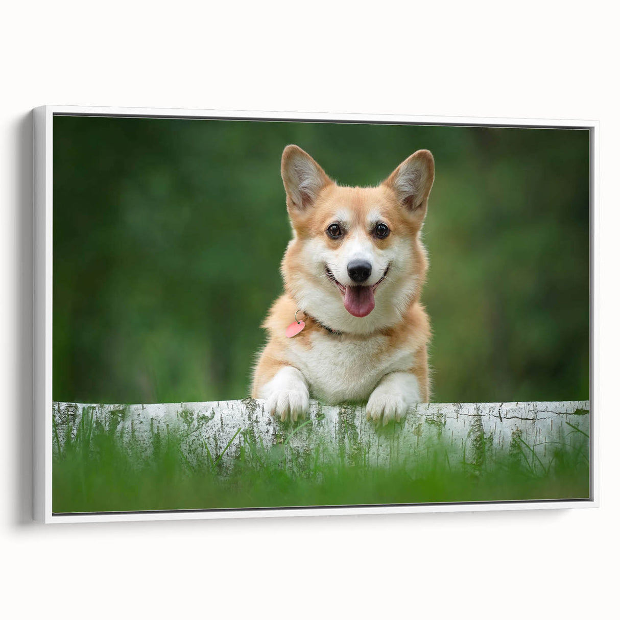 Framed canvas wall art featuring an adorable corgi design in a playful pose, set against a white background, perfect for dog lovers and home decor enthusiasts.