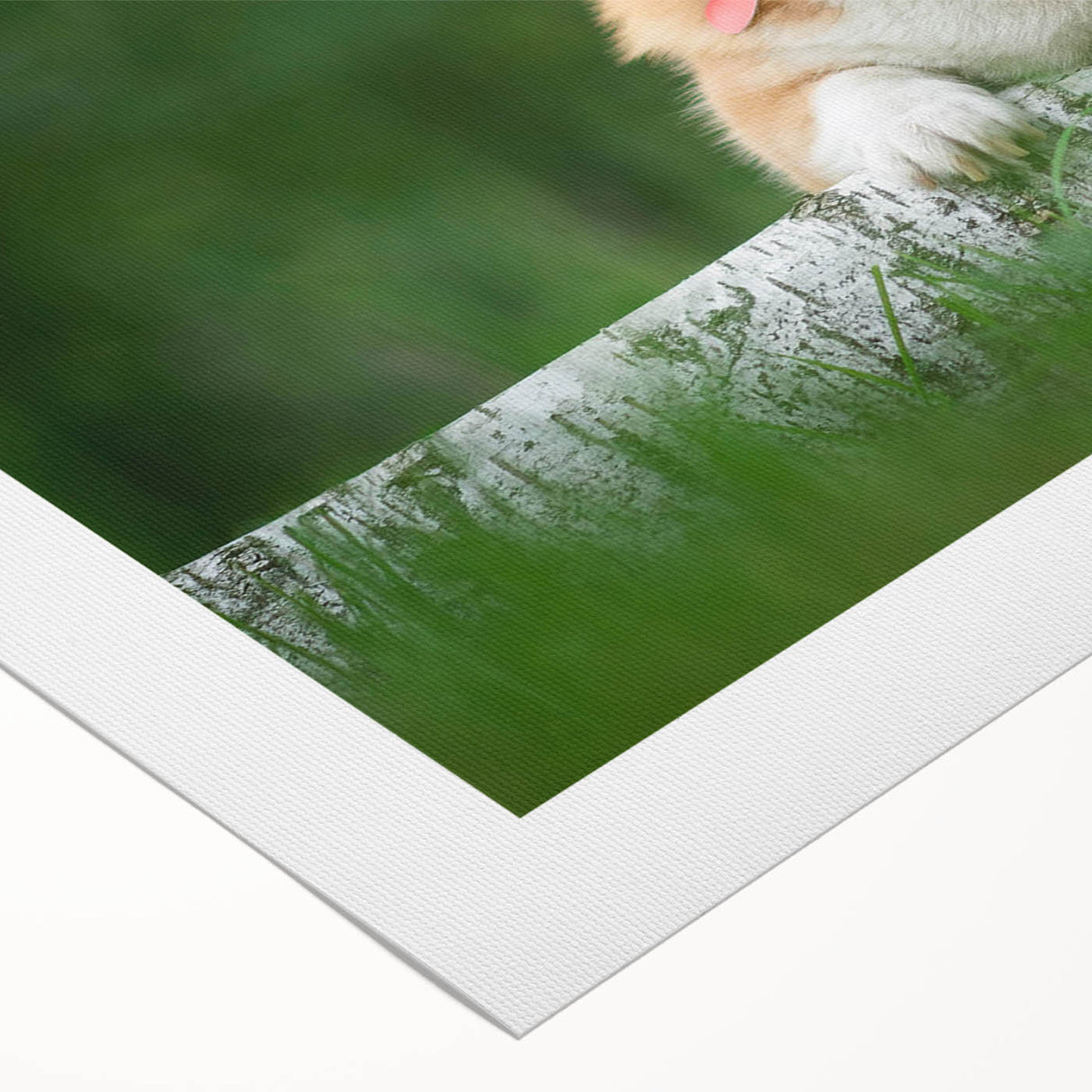 Colorful rolled canvas wall art showcasing a playful Corgi design, featuring vibrant hues and whimsical patterns, ideal for dog lovers' home decor.