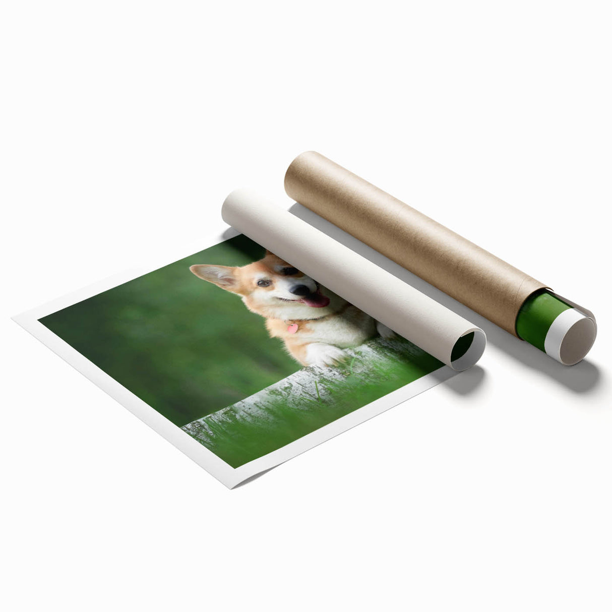 Corgi-themed wall art collection print showcasing playful corgi illustrations in vibrant colors, rolled and ready for framing, perfect for dog lovers' decor.