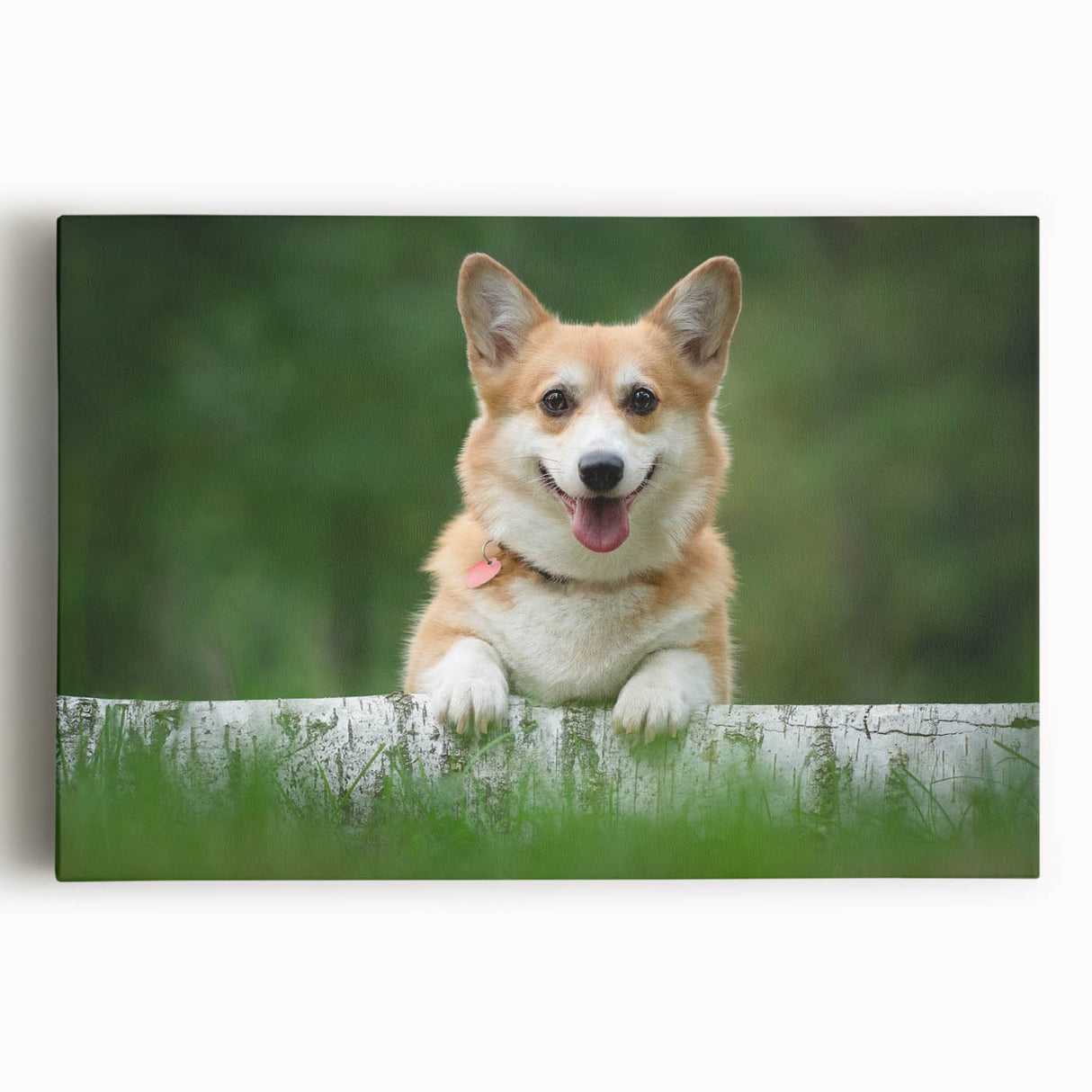 Corgi-themed wall art collection on stretched canvas, showcasing vibrant colors and playful design, perfect for pet lovers' home decor.