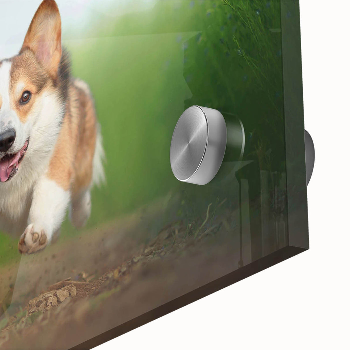 Close-up of a vibrant acrylic glass wall art piece featuring a playful Corgi design, showcasing rich colors and intricate details, perfect for dog lovers.
