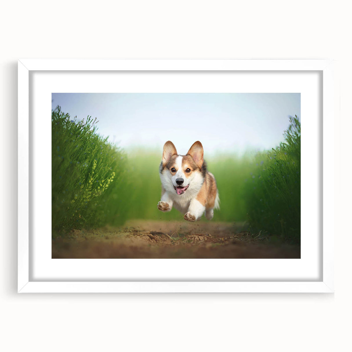 Framed wall art featuring a playful corgi design, showcasing vibrant colors and detailed illustrations, set against a white background with a mat for a polished look. Perfect for dog lovers and modern home decor.