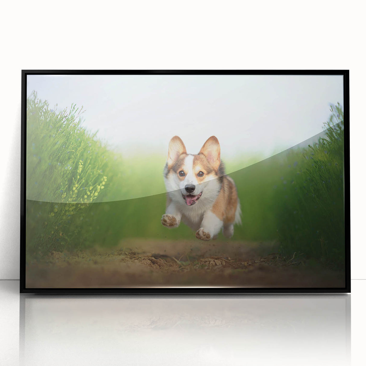 Framed acrylic wall art featuring a playful corgi design in vibrant colors, showcasing the dog’s joyful expression against a sleek black frame, ideal for pet lovers' decor.