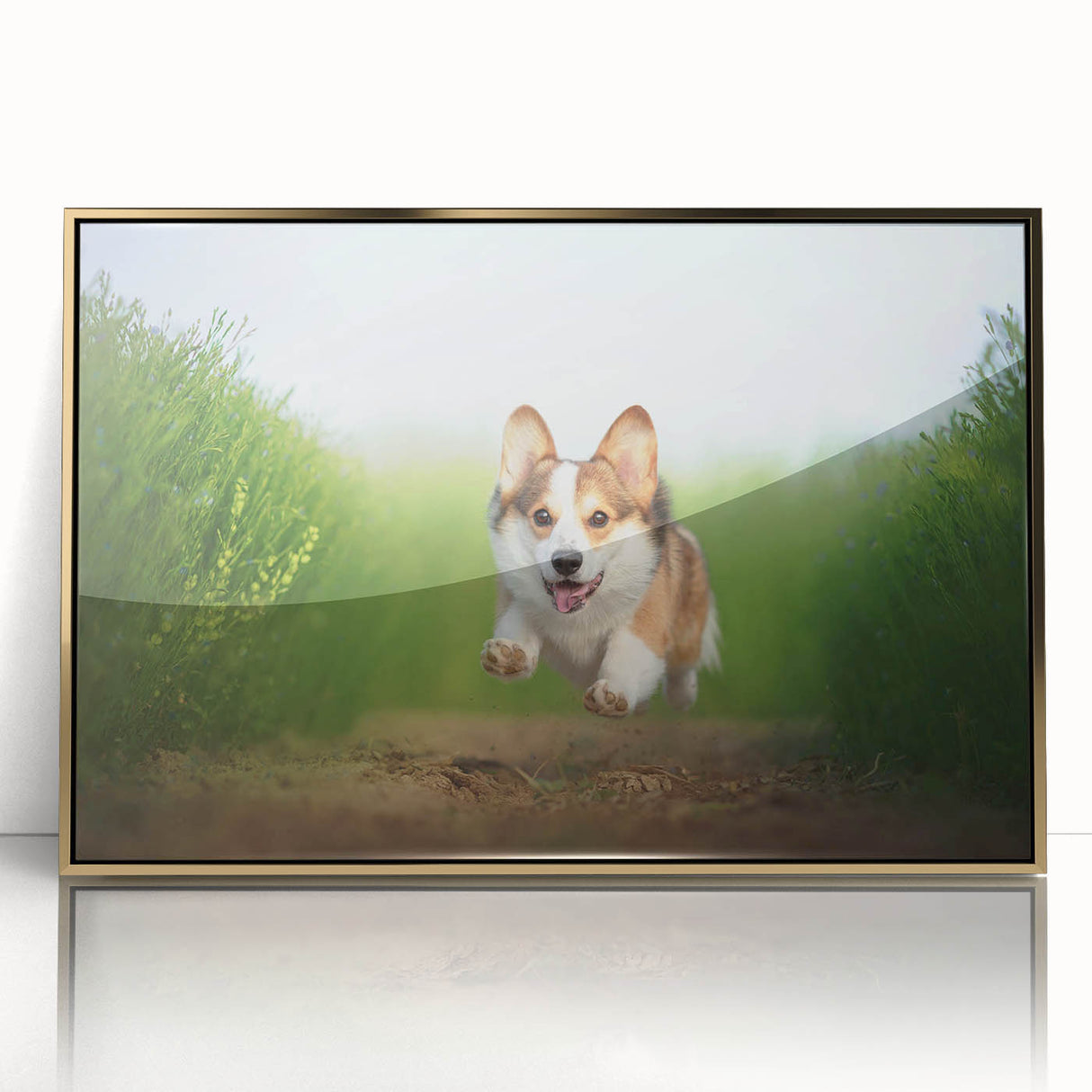 Corgi-themed wall art collection featuring a framed acrylic design with a gold border, showcasing a playful corgi in vibrant colors, perfect for dog lovers.