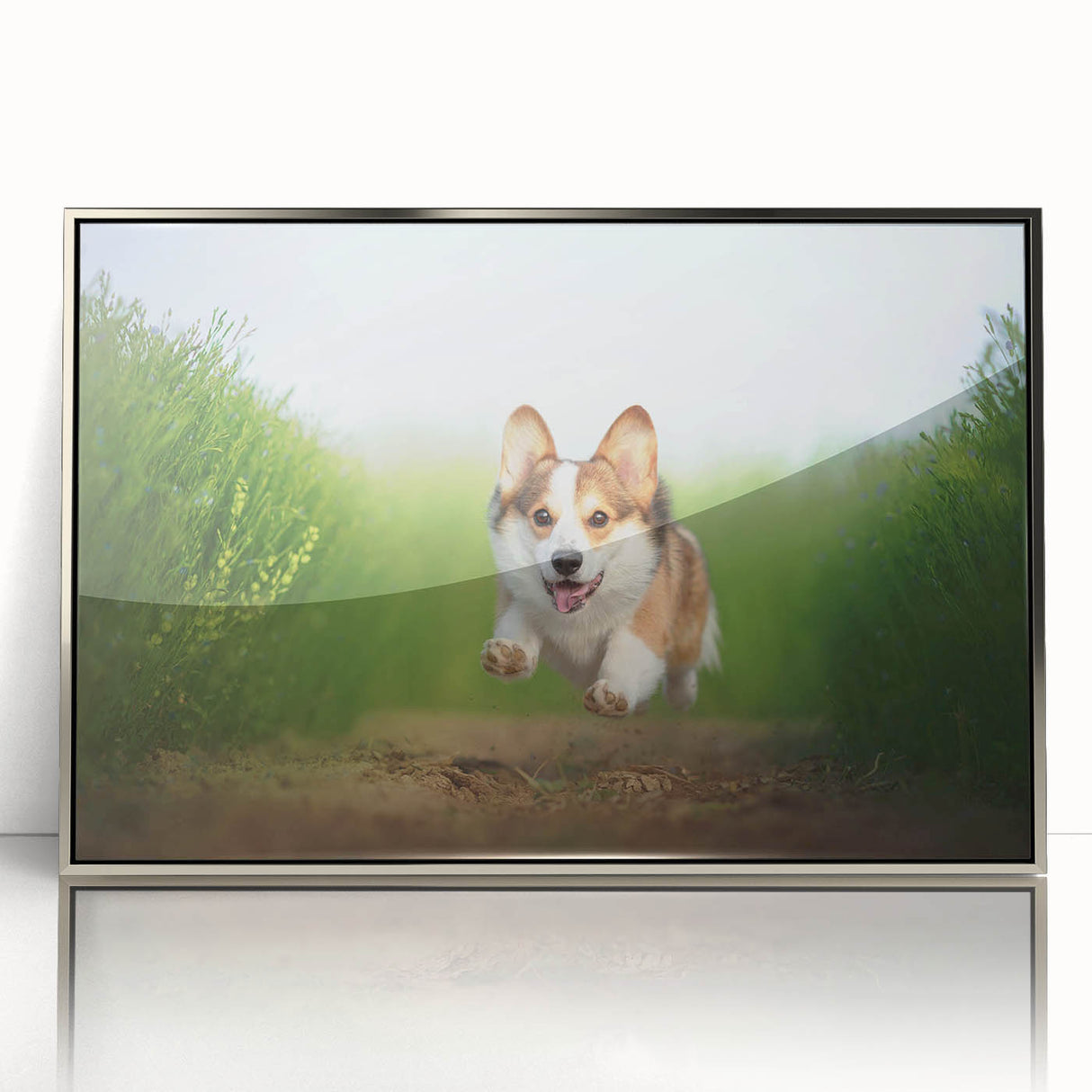 Framed wall art featuring a playful Corgi design in vibrant colors, showcasing a silver-acrylic frame that enhances the whimsical character of the illustration. Perfect for dog lovers and home decor enthusiasts.