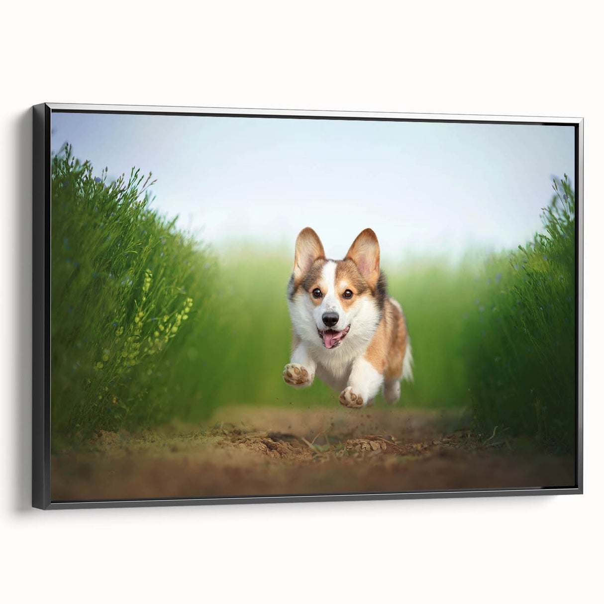 Framed wall art featuring a playful corgi design, showcasing a black frame and vibrant colors, perfect for dog lovers and home decor enthusiasts.