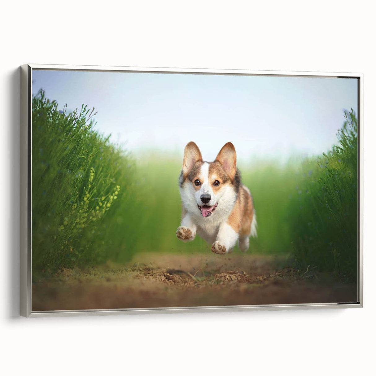 Framed wall art collection showcasing a playful corgi design on textured canvas, featuring a silver frame, ideal for home decor enthusiasts and dog lovers.