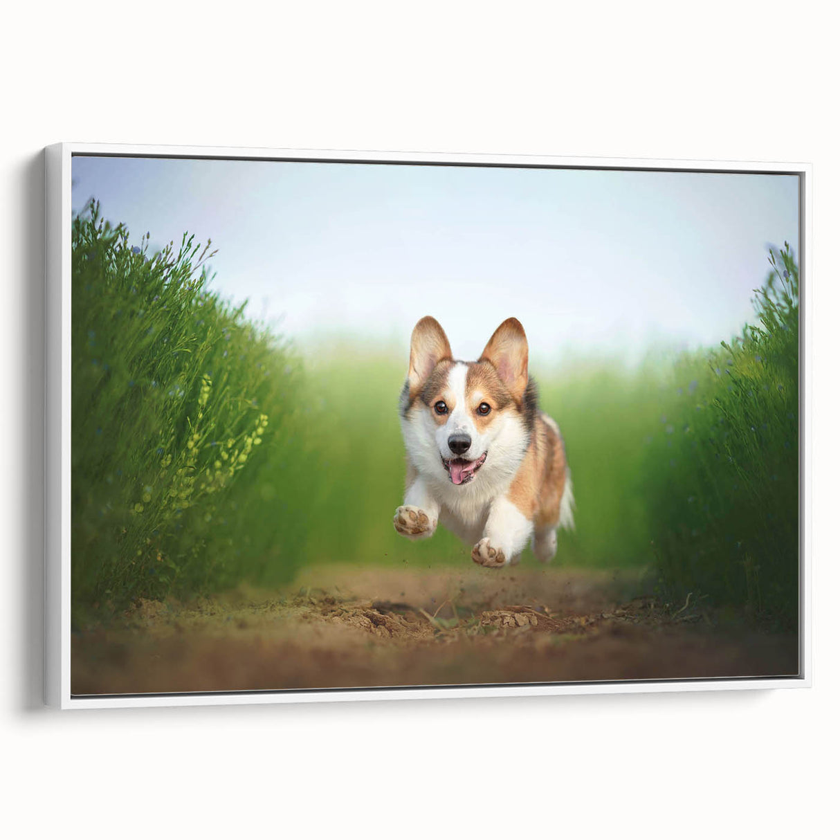 Framed wall art collection showcasing a playful Corgi design in a vibrant, colorful style, perfect for dog lovers and home decor enthusiasts.