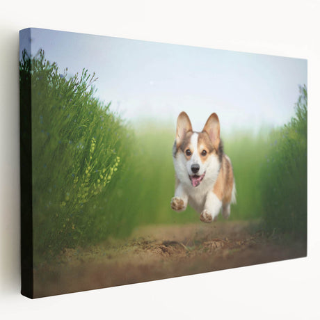 Stretched canvas wall art showcasing a playful corgi design in vibrant colors, perfect for dog lovers, displayed in a stylish side view.