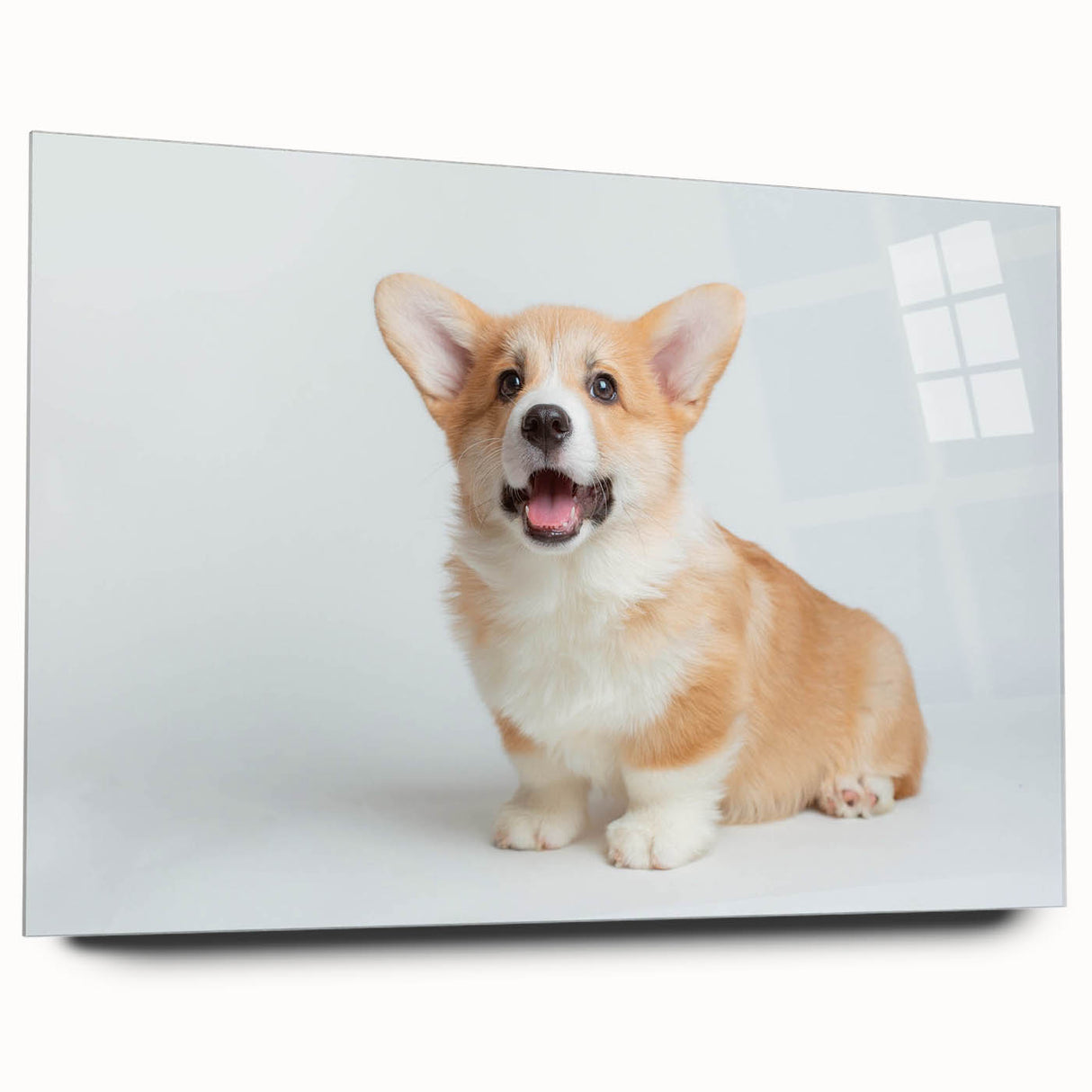 Acrylic glass wall art featuring a charming Corgi design, showcasing playful colors and a side view without pins, perfect for dog lovers' home decor.
