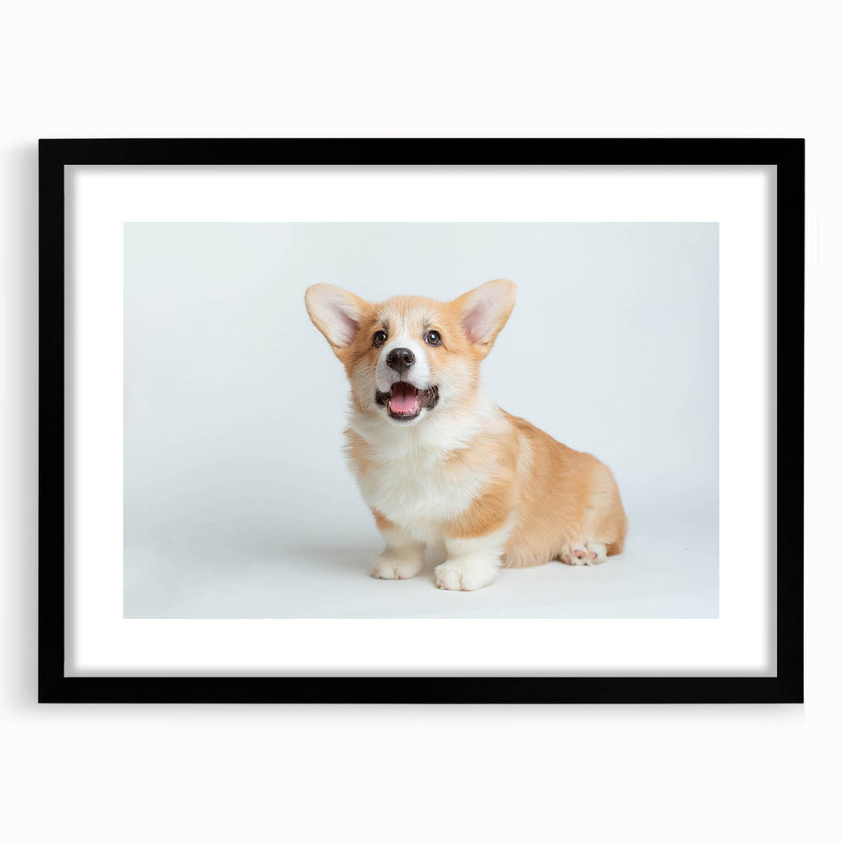 Black-framed wall art collection featuring a playful corgi design, showcasing vibrant colors and intricate details, perfect for dog lovers' home decor.