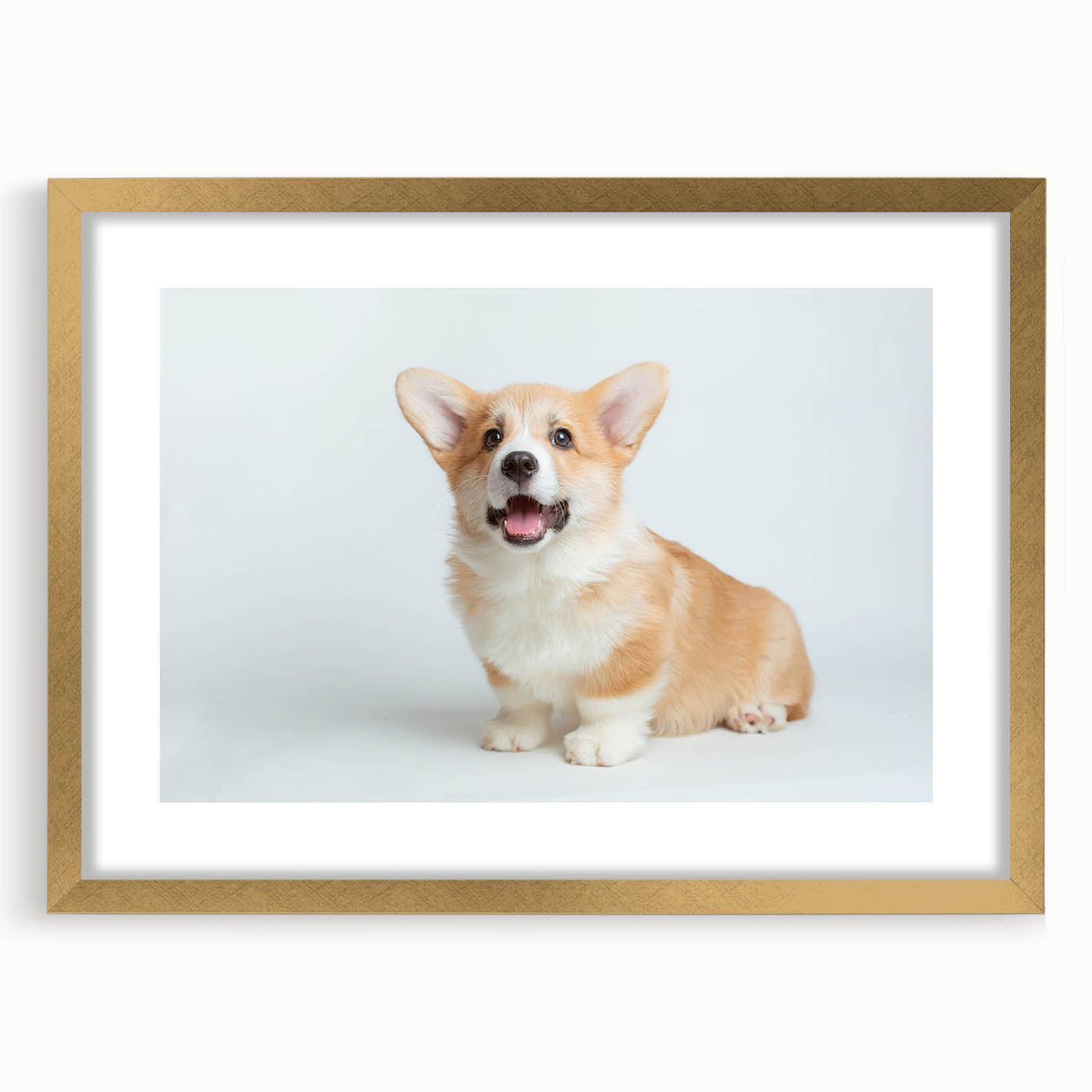 Framed wall art featuring a playful Corgi design in vibrant colors, showcasing a gold frame with a mat, perfect for dog lovers’ home decor.