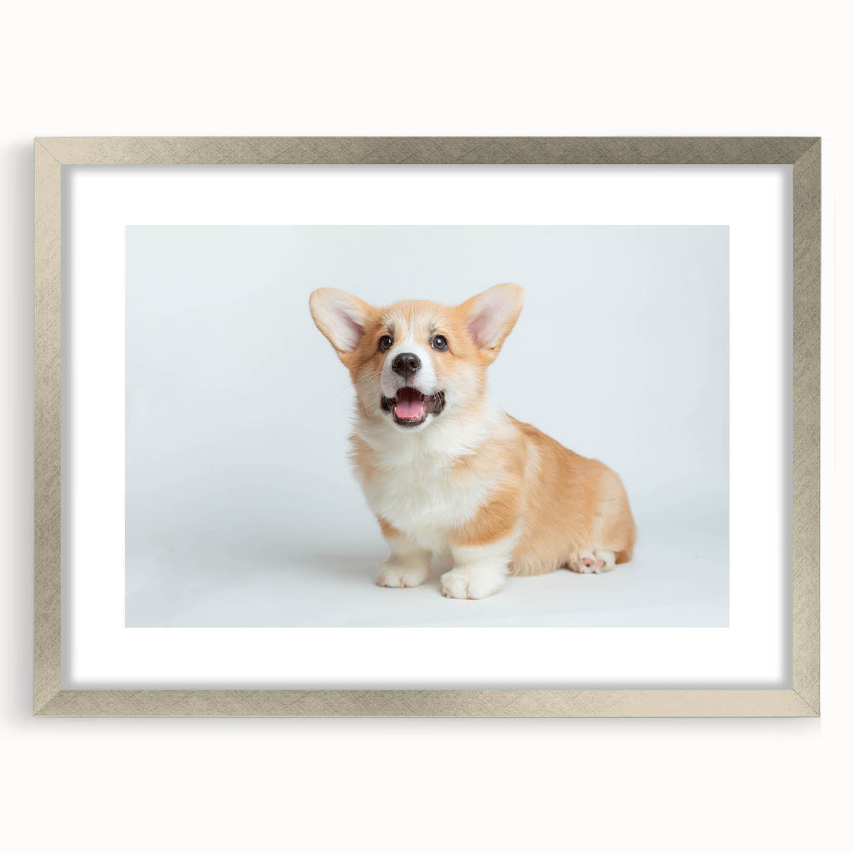 Corgi-themed wall art collection framed in silver with a white mat, showcasing playful corgi illustrations, perfect for pet lovers' home decor.