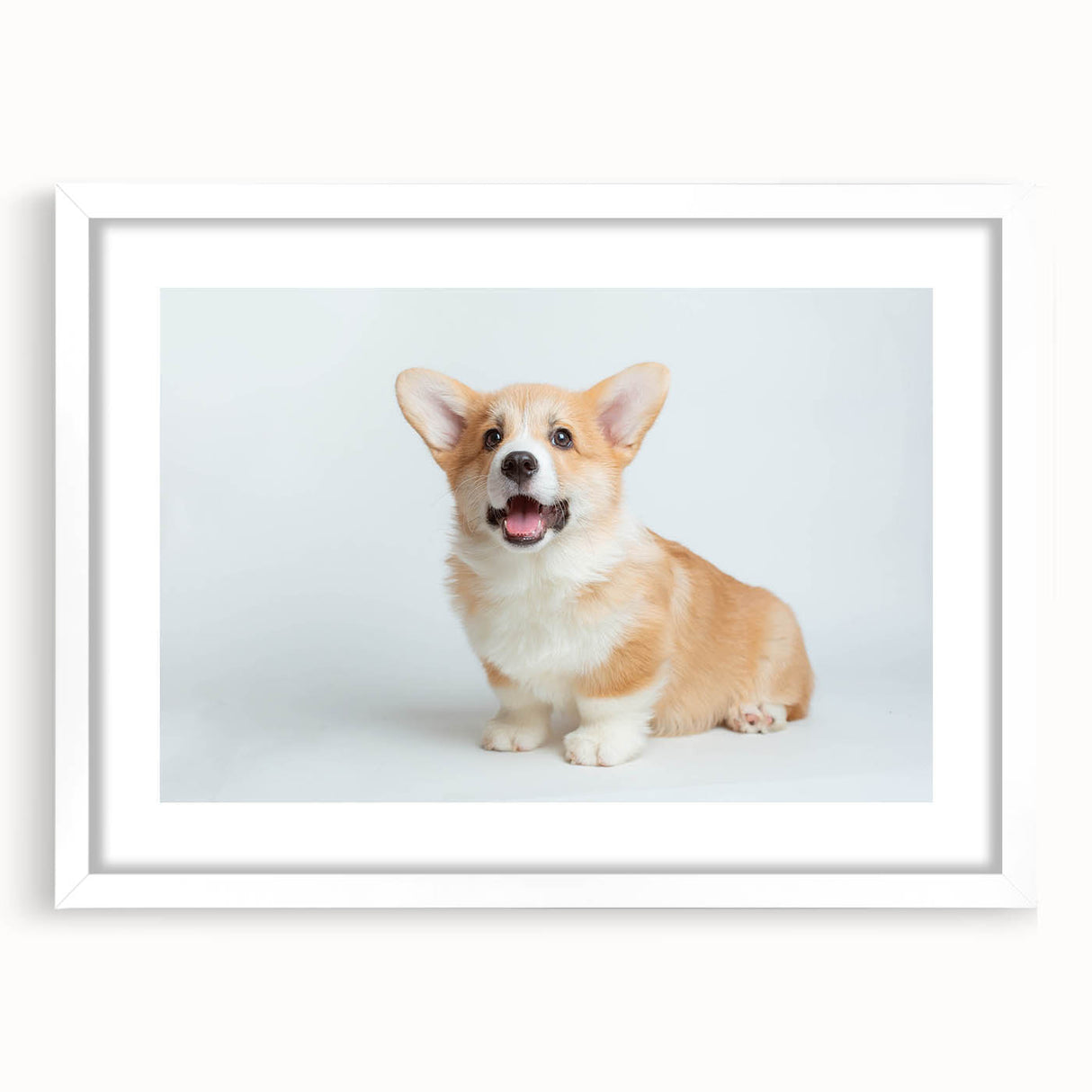 Framed wall art collection showcasing a playful corgi design, featuring a white mat and sleek black frame, perfect for dog lovers and home decor enthusiasts.