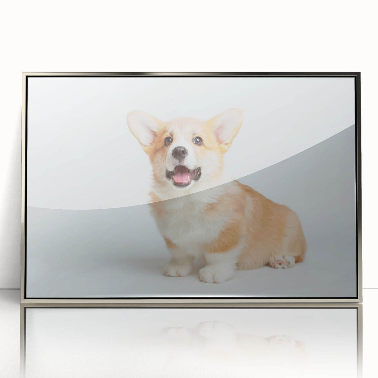 Framed wall art featuring a playful corgi design, presented in a sleek silver frame with acrylic front, perfect for dog lovers and home decor enthusiasts.