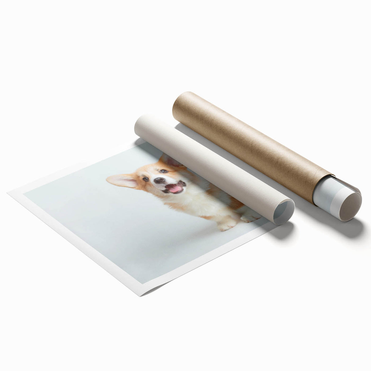 Vibrant rolled print showcasing a playful corgi design, featuring bright colors and whimsical elements, ideal for adding a cheerful touch to home decor.