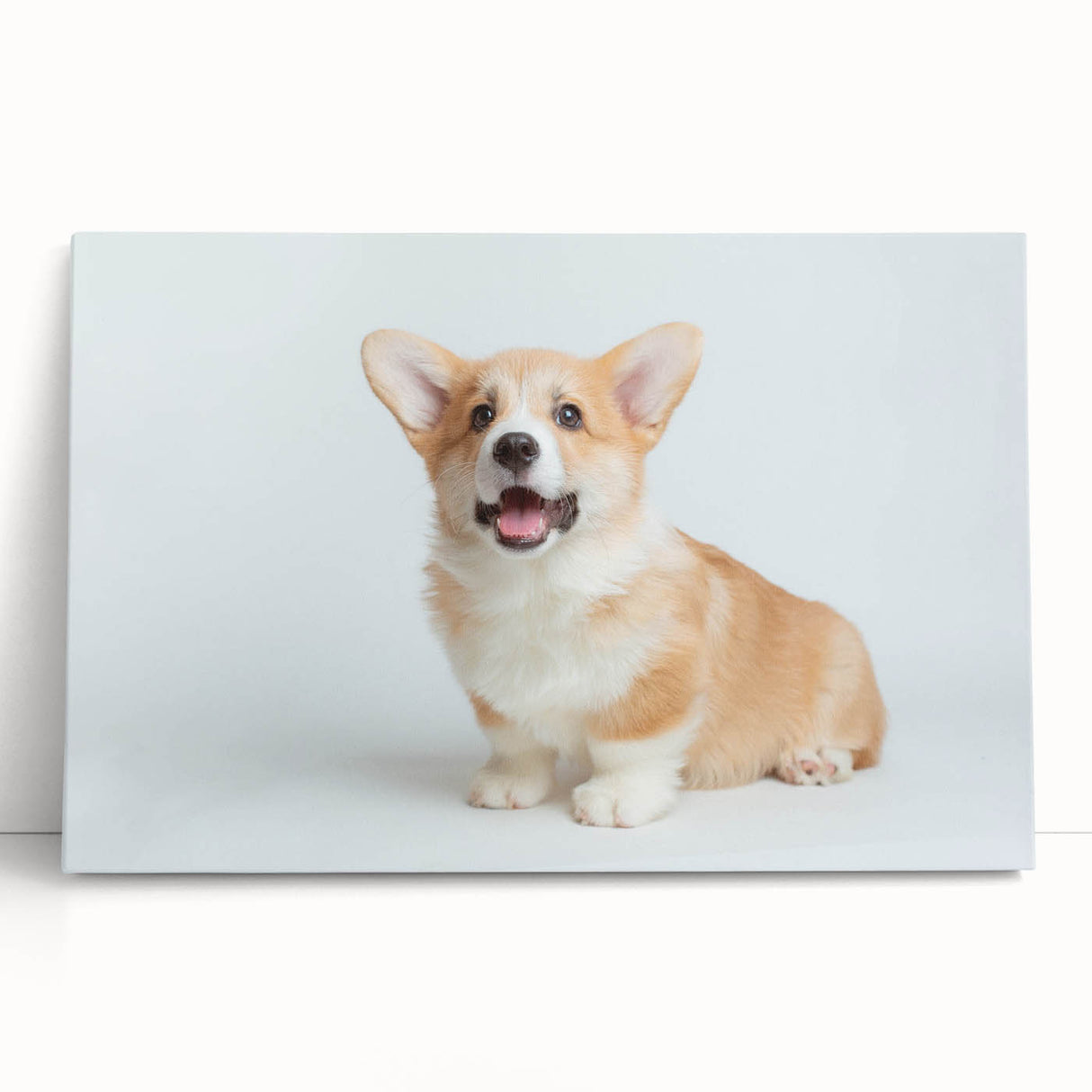 Corgi wall art collection on stretched canvas, featuring playful corgi designs in vibrant colors, perfect for dog lovers' home decor.