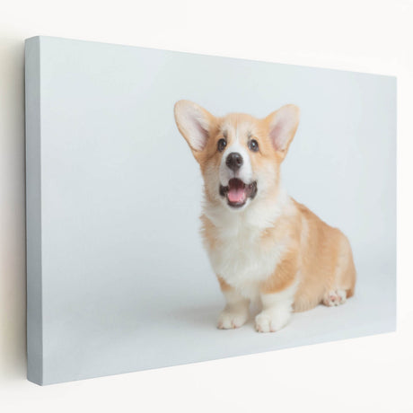 Corgi-themed wall art collection featuring vibrant colors and playful designs, printed on stretched canvas and ready to hang, perfect for dog lovers' decor.