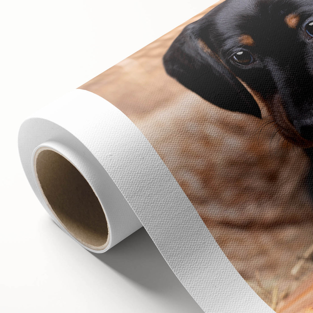 Dachshund-themed wall art collection on rolled canvas, showcasing vibrant colors and playful design, perfect for dog lovers and home decor enthusiasts.