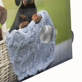 Close-up of a vibrant dachshund design wall art piece, featuring colorful acrylic glass with a playful dog illustration, perfect for modern pet lovers' decor.
