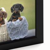 Framed canvas wall art featuring a close-up design of a playful dachshund, showcasing vibrant colors and intricate details, perfect for dog lovers' home decor.