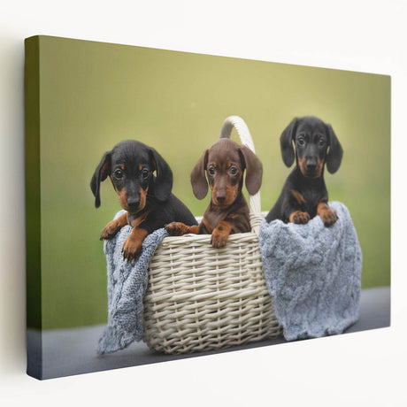Dachshund-themed canvas wall art showcasing a whimsical design with playful colors, perfect for dog lovers, displayed in a side view for artistic appeal.