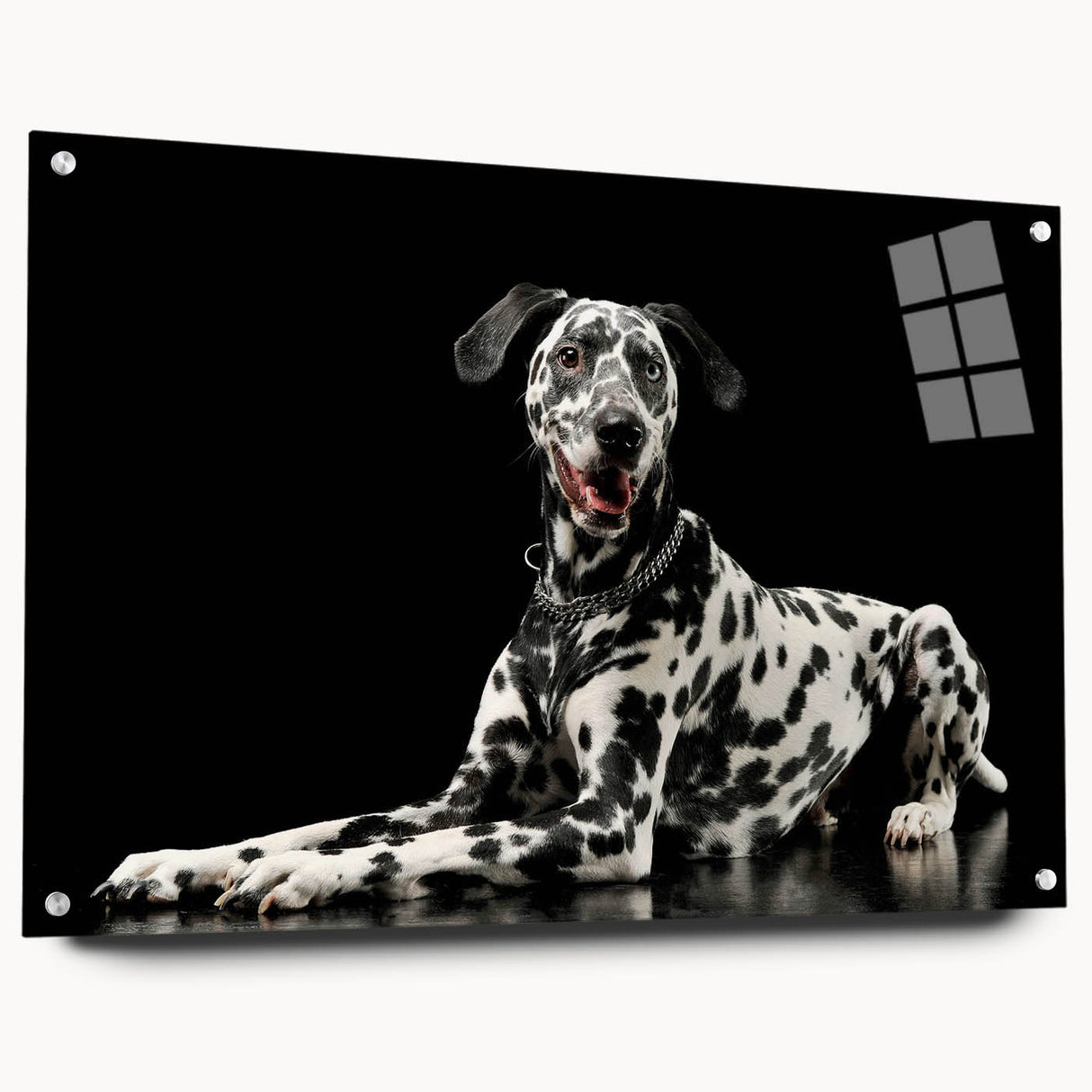 Side view of a Dalmatian-themed wall art piece made of acrylic glass, showcasing vibrant colors and intricate designs, perfect for dog lovers' decor.