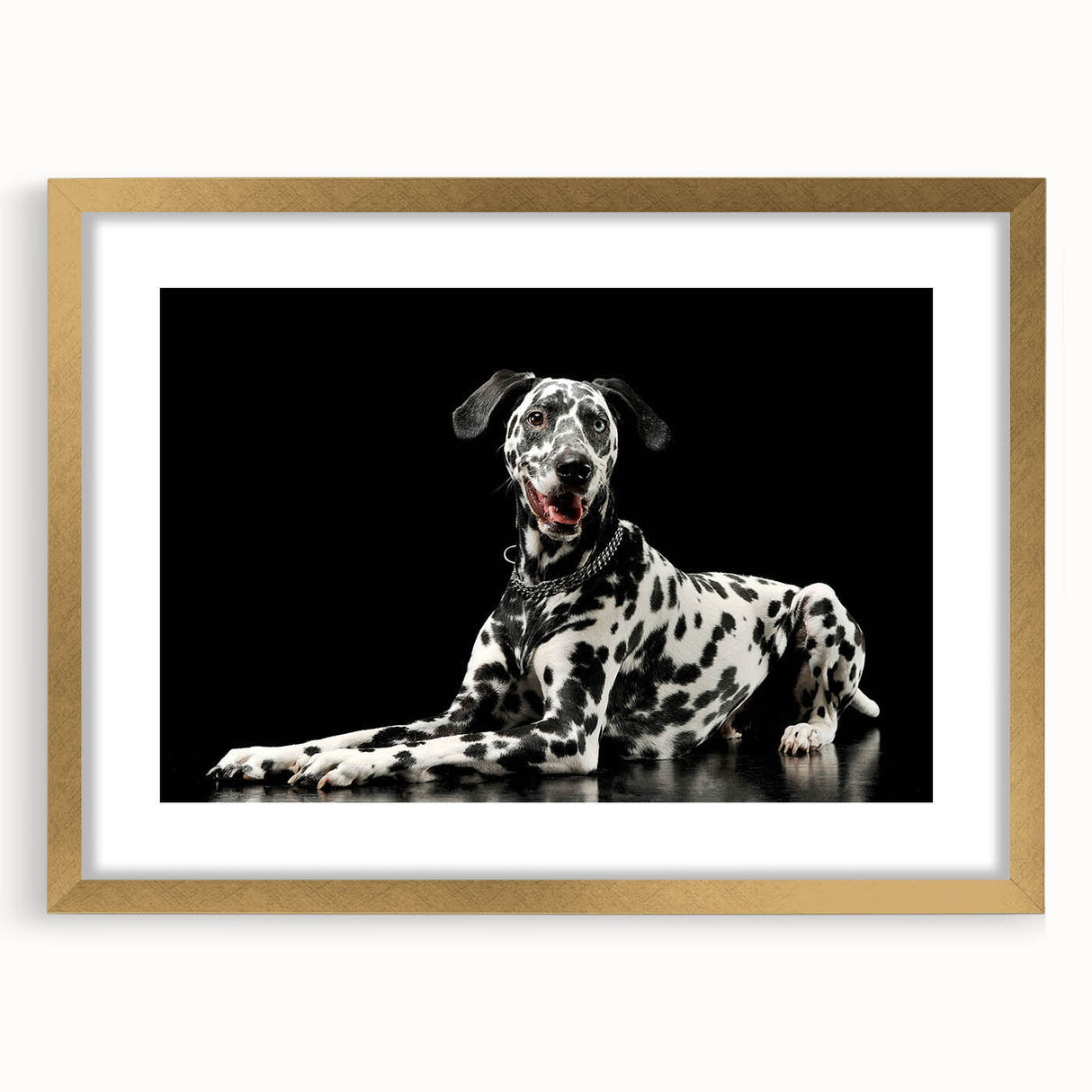 Framed wall art collection showcasing an elegant Dalmatian design with a gold frame and mat, perfect for dog lovers and modern home decor.
