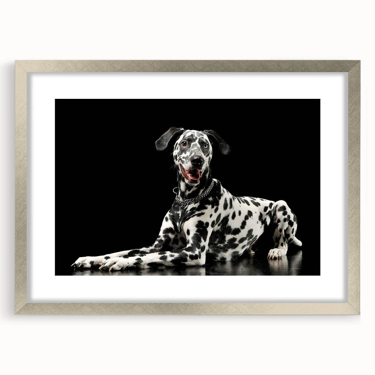 Framed wall art showcasing a striking Dalmatian design with a sleek silver mat, perfect for dog lovers and modern home decor enthusiasts. This eye-catching piece enhances any interior space while celebrating the unique beauty of Dalmatians.